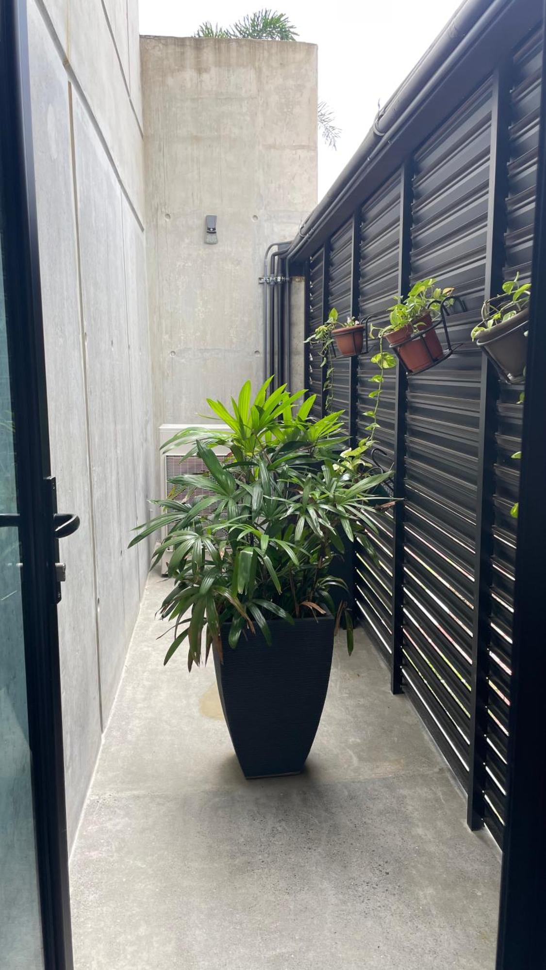 Cozy Apartment With Terrace, Sj Cosmopolitan Tower #402 San Jose  Exterior photo