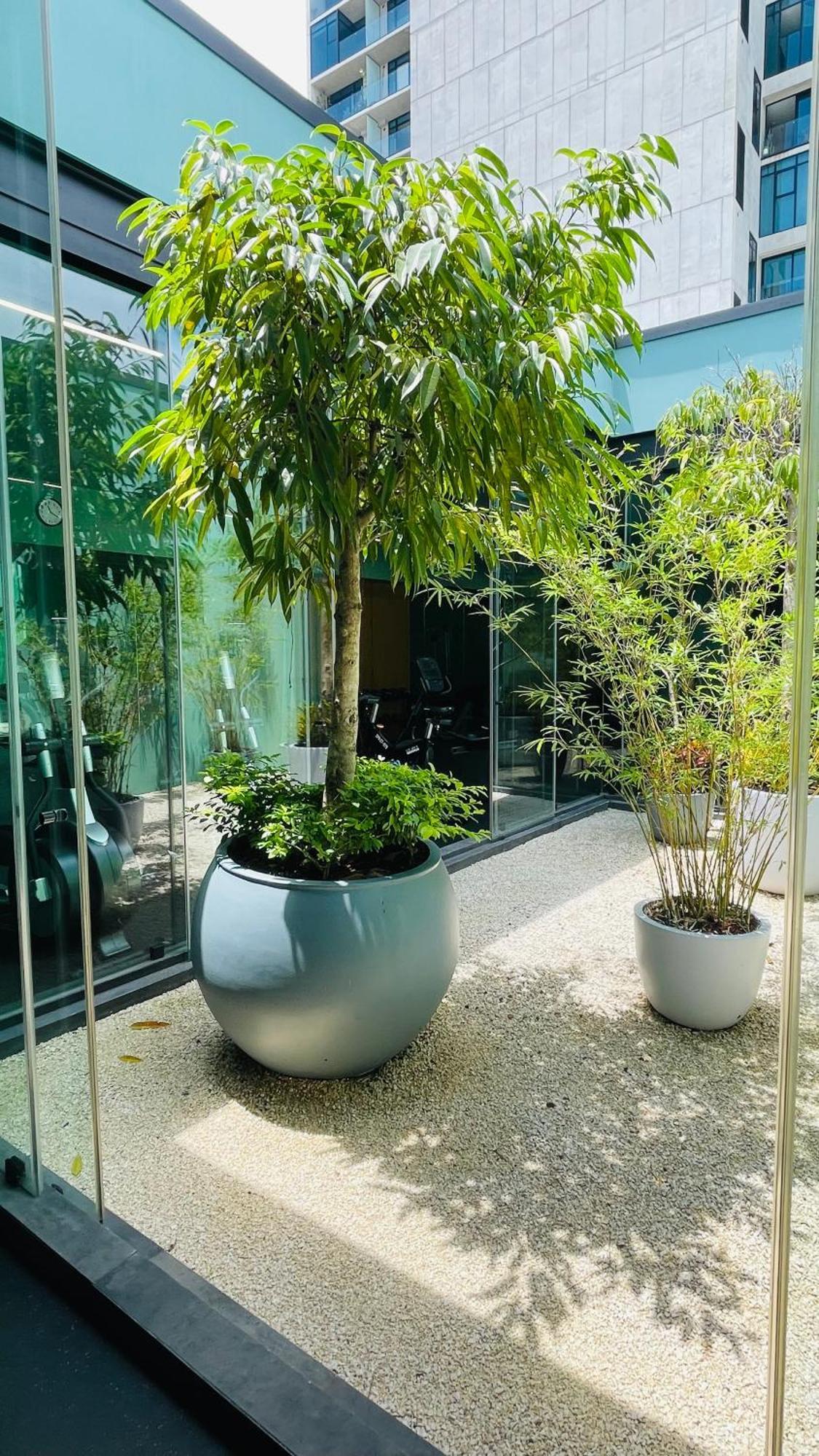 Cozy Apartment With Terrace, Sj Cosmopolitan Tower #402 San Jose  Exterior photo